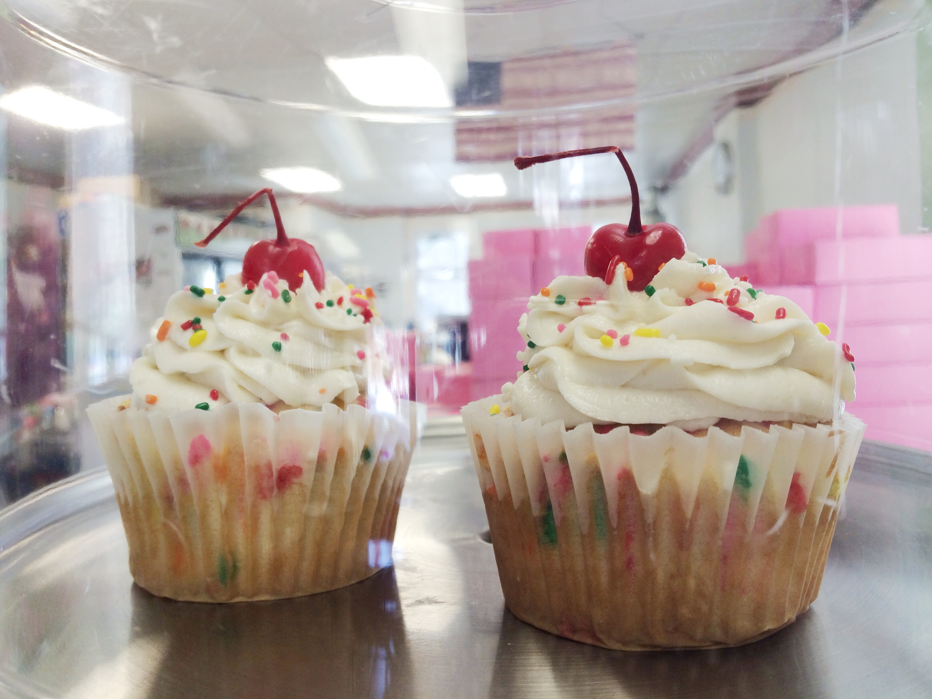 A Cupcake for Later Visit CT